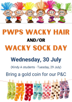 Wacky Hair and Sock Day